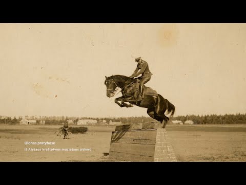 Maršrutas nr. 44 - Alytus