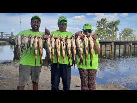 Pesca variada 2026 , Roque perez 🥳💯🎣🎣🎣