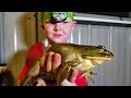 Catch and Cook FROGS, CRAW FISH & CATFISH!!!!