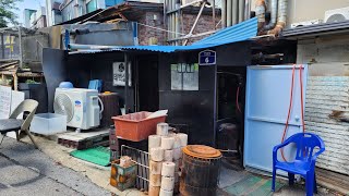 태백원조실비한우식당 #태백맛집#한우맛집#윈조맛집#맛집투어#연탄구이원조집