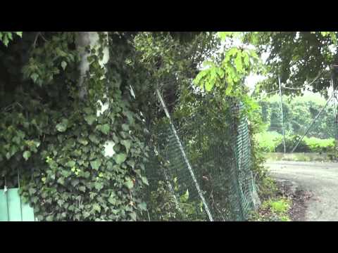 10° Rallylegend 2012