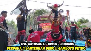 Download lagu Tampil Perdana❗Bantengan Suro Jaranan SAMBOYO PUTRO Live Watugaluh Diwek Jombang mp3