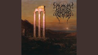 Into the Ancient Light