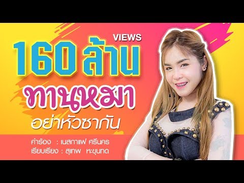 คอร์ดเพลง ทานหมาอย่าหัวซากัน - เนสกาแฟ ศรีนคร
