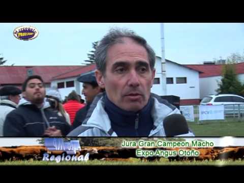 Angus Otoño en Bolivar, Nota Martin Tinello Cabaña Inambu