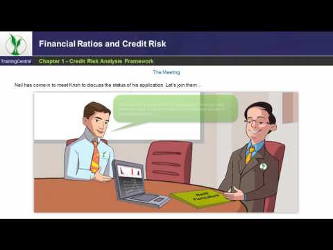 Financial Ratios and Credit Risk