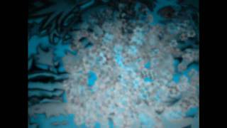 inevitabilmente fiorella mannoia