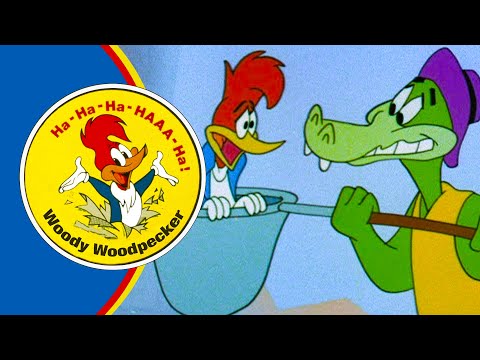 Woodpecker vs Alligator vs Crocodile | 2.5 Hours of Classic Episodes of Woody Woodpecker