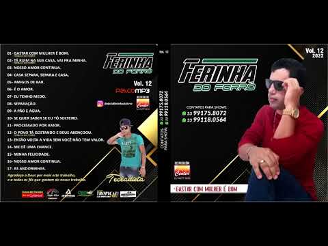 FERINHA DO FORRÓ - VOLUME 12 (CD COMPLETO 2022)