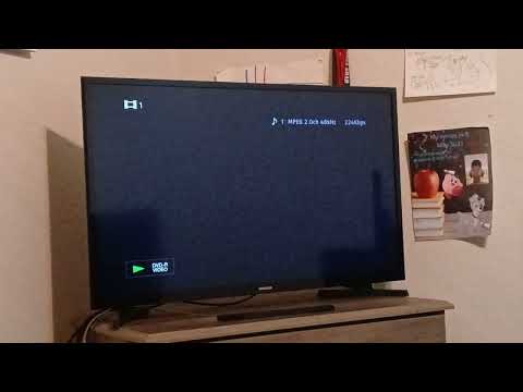 Opening to The Puppies: Meet Cookie 2024 Homemade DVD (2024 Marco Studios Reprint, Disc 1)