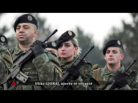 Uliks GJONAJ: Jam i gatshëm të sjell programe amerikane e izraelite për Policinë e Kosovës