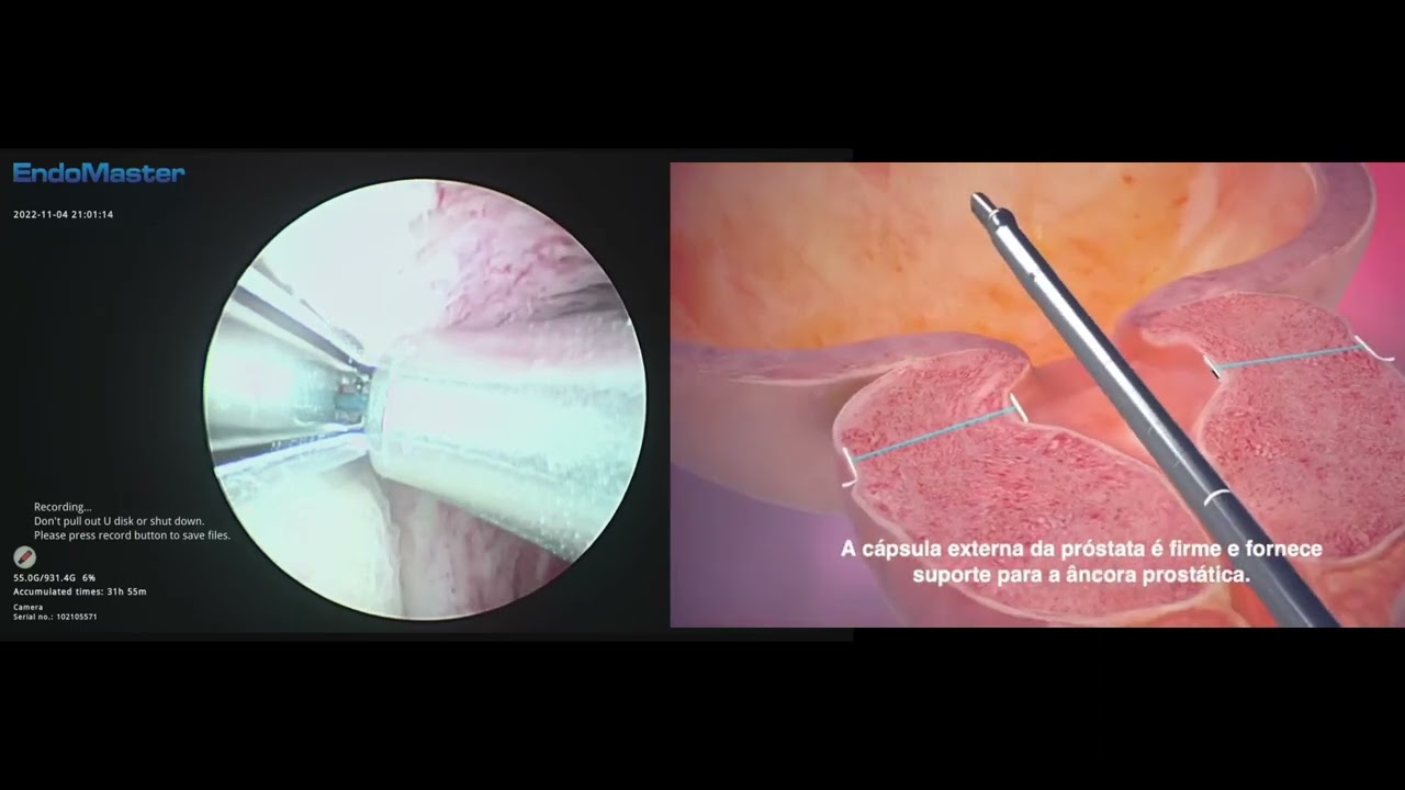 Fabio Sant Anna De Moraes-22