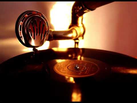 A Media Luz 1928 Los Floridians Brunswick 40311-B