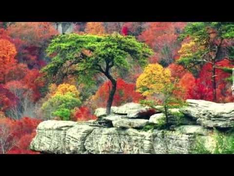 Mark John McEncroe - "Introspective Moments" (Pianist Helen Kennedy)