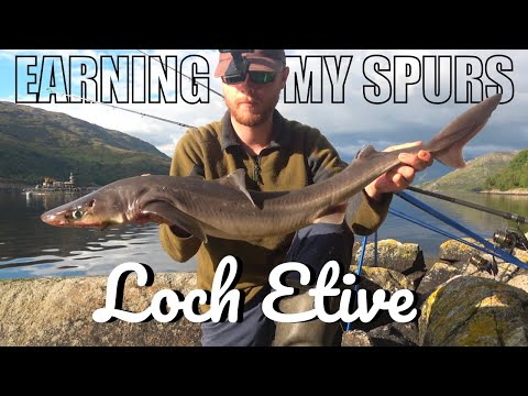 I got LOADS of BITES! Fishing for Spurdogs - Loch Etive