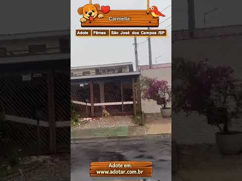 Vídeo de Carmella