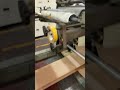 Riproduci video