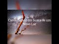 Em Busca De Um Novo Lar
