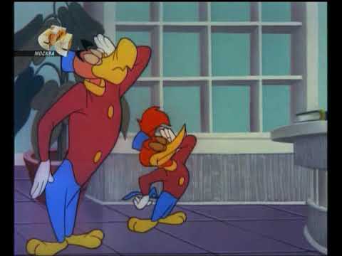050 Woody Woodpecker Belle Boys