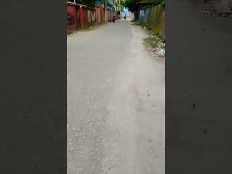 মন পিন জ্বি রায় 🍁☘️🌿🌺