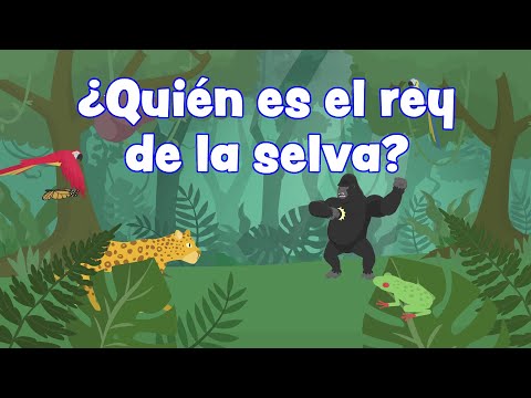 ¿Quién es el rey de la selva?
