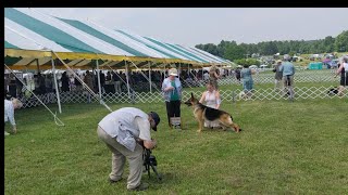 120th All Breed Dog Show