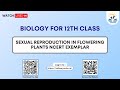 Biology Class 12th | Sexual reproduction in flowering plants NCERT Exemplar