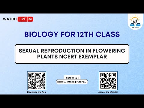 Biology Class 12th | Sexual reproduction in flowering plants NCERT Exemplar