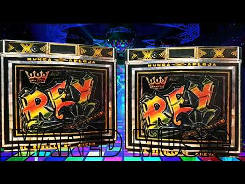 LOS PAVITOS - EXITO PICOTERO