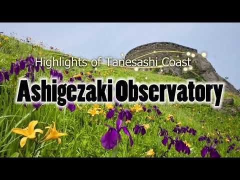 Michinoku Coastal Trail "Ashigezaki Observatory"