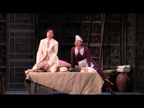 Le Nozze di Figaro: Non so più -- Isabel Leonard (Met Opera)