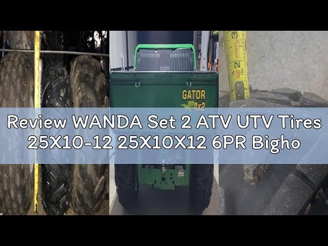 Review WANDA Set 2 ATV UTV Tires 25X10-12 25X10X12 6PR Bighorn Style