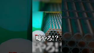かくれんぼで天才すぎる隠れ方をした結果 #そらびび #めっちゃカメレオン #ゲーム実況