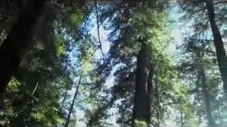 Goddamn HIV   by Mary Gauthier