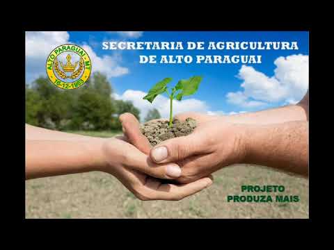 REALIZAÇÃO  DO 1º DIA DE CAMPO  NA FURNAS