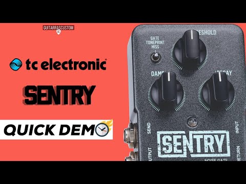 TC electronic Sentry Noise Gate "Quick Demo"