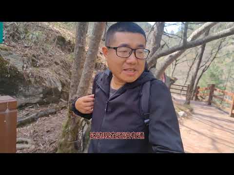 秦岭南麓的佛坪县沙窝村，环境宜人依山傍水，可以近距离免费参观大熊猫#沙窝村 #佛坪县 #小众景点 #秦岭佛坪大熊猫 #vlog旅游 #周边游 #穷游 #乡村游