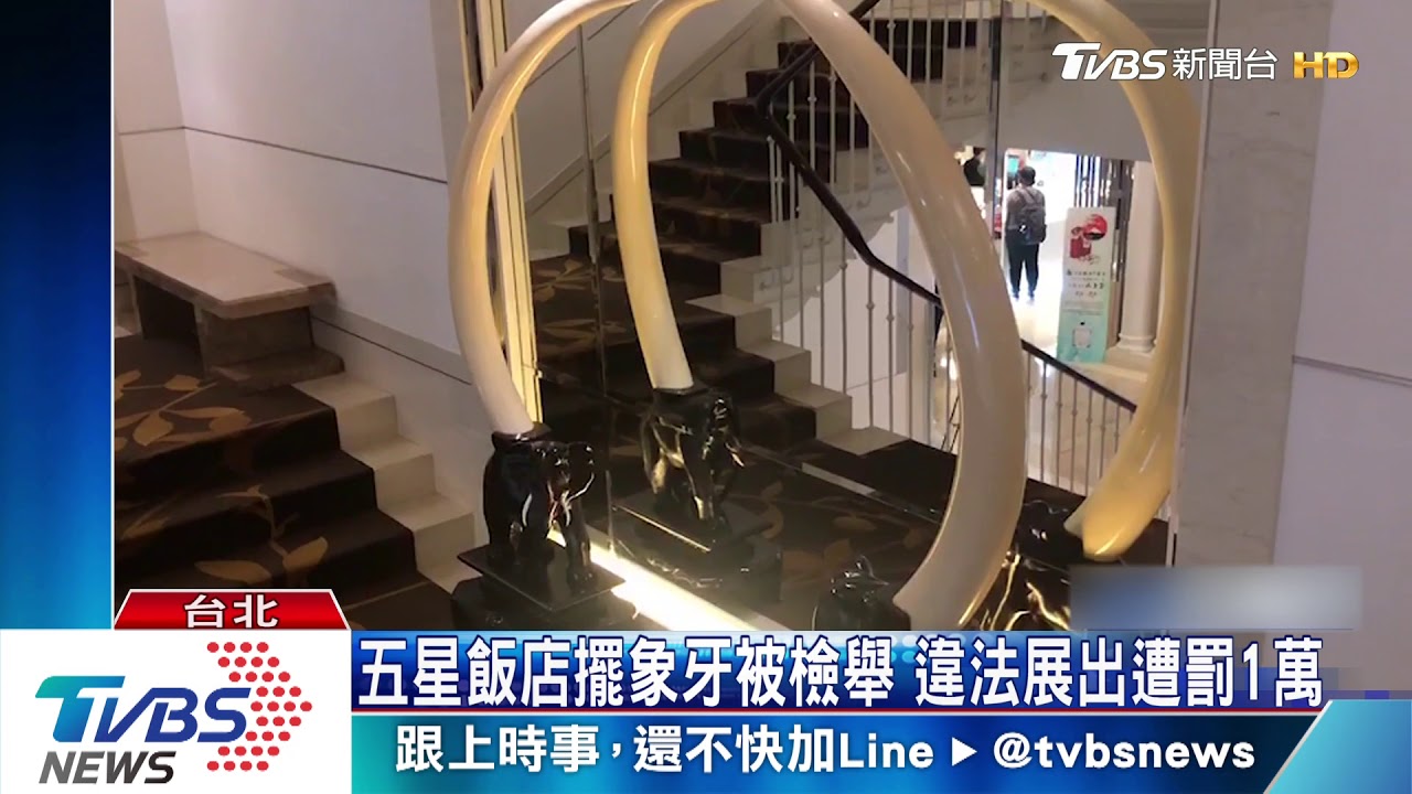 五星飯店擺象牙被檢舉 違法展出遭罰1萬