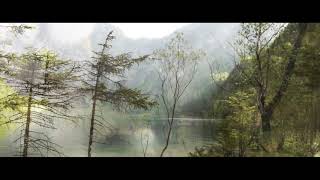 Pantha du Prince - When We Talk (Official Video)