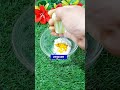 ত্বকের অবাঞ্ছিত লোম দূর করার উপায়