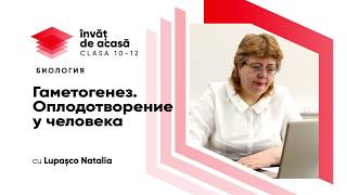 "Гаметогенез. Оплодотворение у человека"