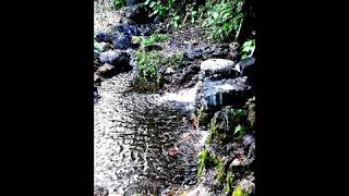 Download lagu Paisaje de Don Diego Río de Paz, Quesada Jutiapa, Guatemala mp3