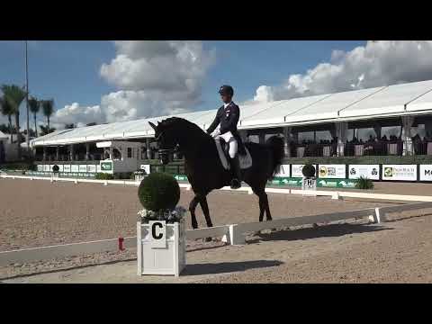 Christian Simonson & Indian Rock | IDA Development FEI World Cup™ Grand Prix