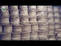 8 7 Million Acres Of Flax Harvested Processed To Linen Fabric This Way Farming Documentary