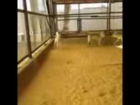 ٥ يوليو، ٢٠١٧