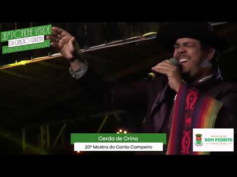 Cerda de Crina - Gustavo Martins