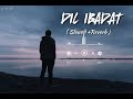 Dil Ibadat Slowed Reverb Song Dil Ibadat