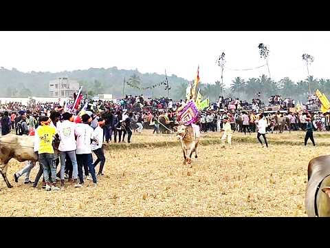 கோபச்சந்திரம் அத்துக்கட்டு விழா குறித்த ஒரு சிறப்பு பார்வை