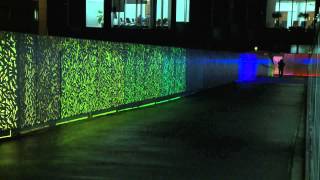 Dancing Bridge - Dragon&#39;s Song