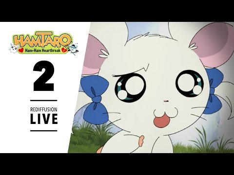 Hamtaro : Ham-Ham Heartbreak - Les aventures de Gemuki - Épisode 2